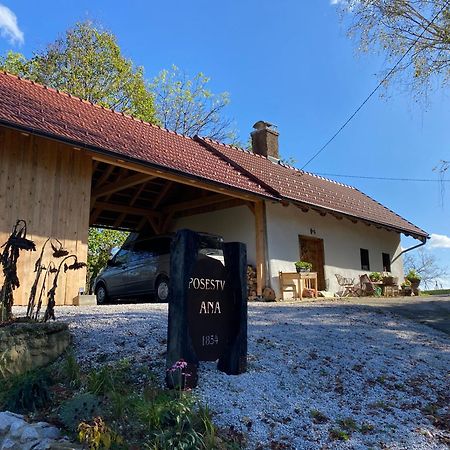 Estate Ana Guest House Ptuj Bagian luar foto