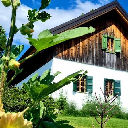 Estate Ana Guest House Ptuj Bagian luar foto