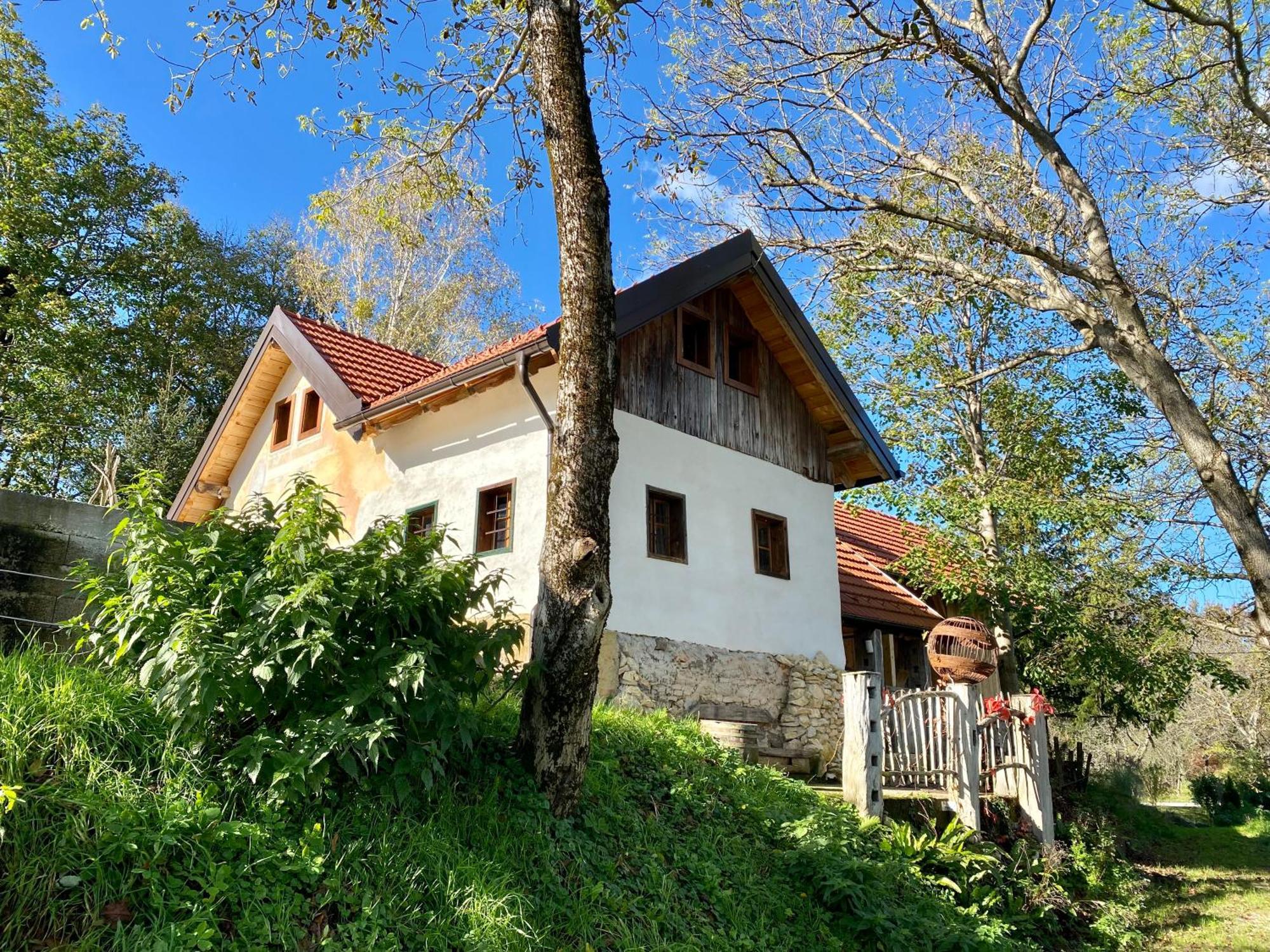 Estate Ana Guest House Ptuj Bagian luar foto