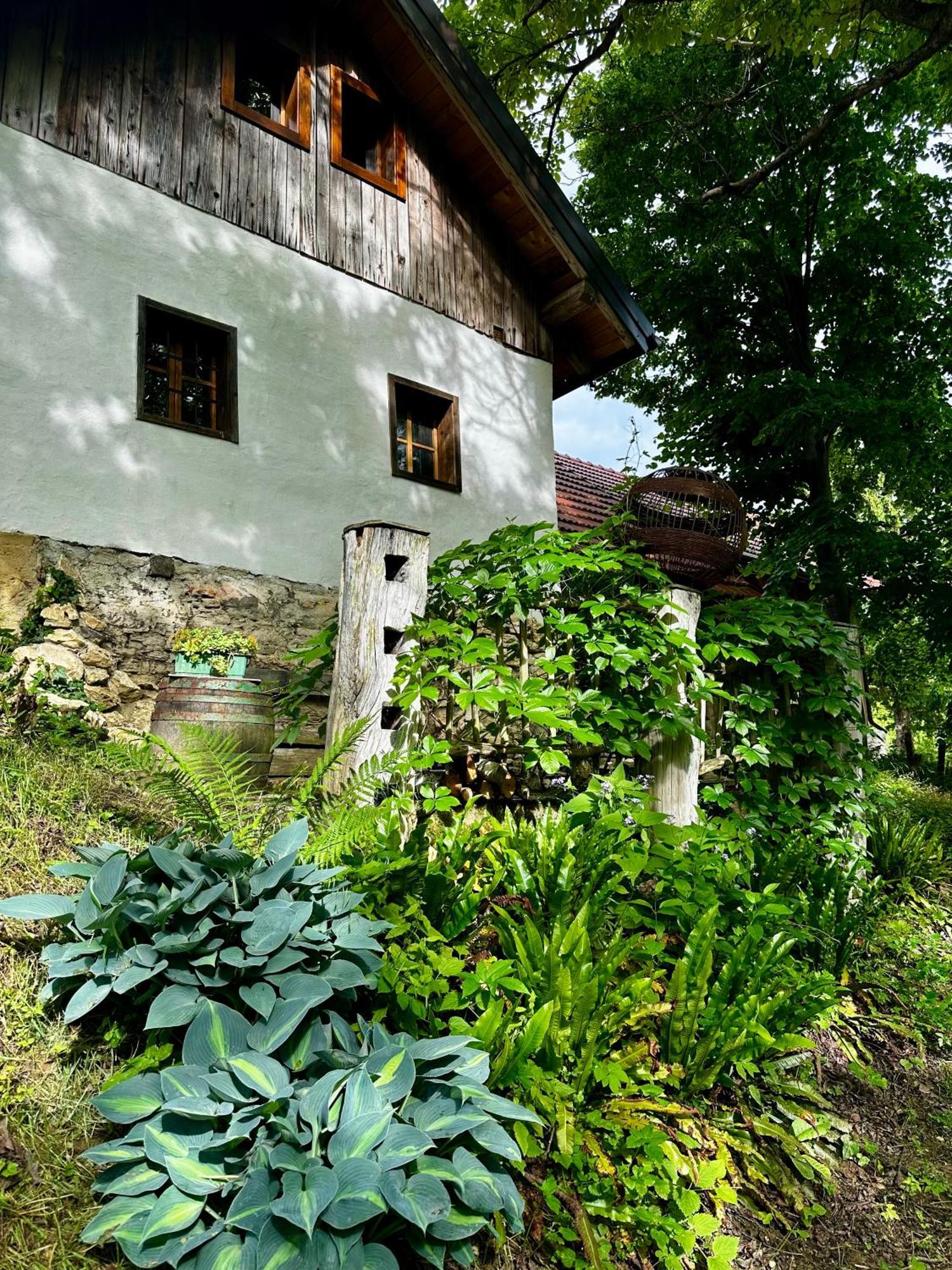 Estate Ana Guest House Ptuj Bagian luar foto